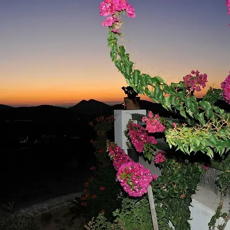 In Agros Anna Dimitris * Agros (Syros)