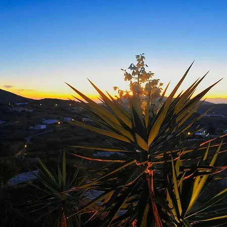 In Agros Anna Dimitris Vakantiehuis Agros (Syros)